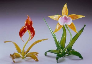 orchids-2