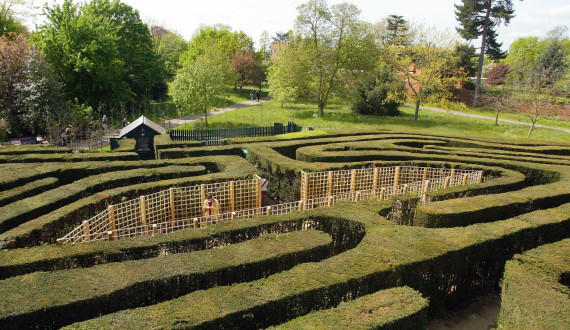 Maze at Hampton Court Palace
