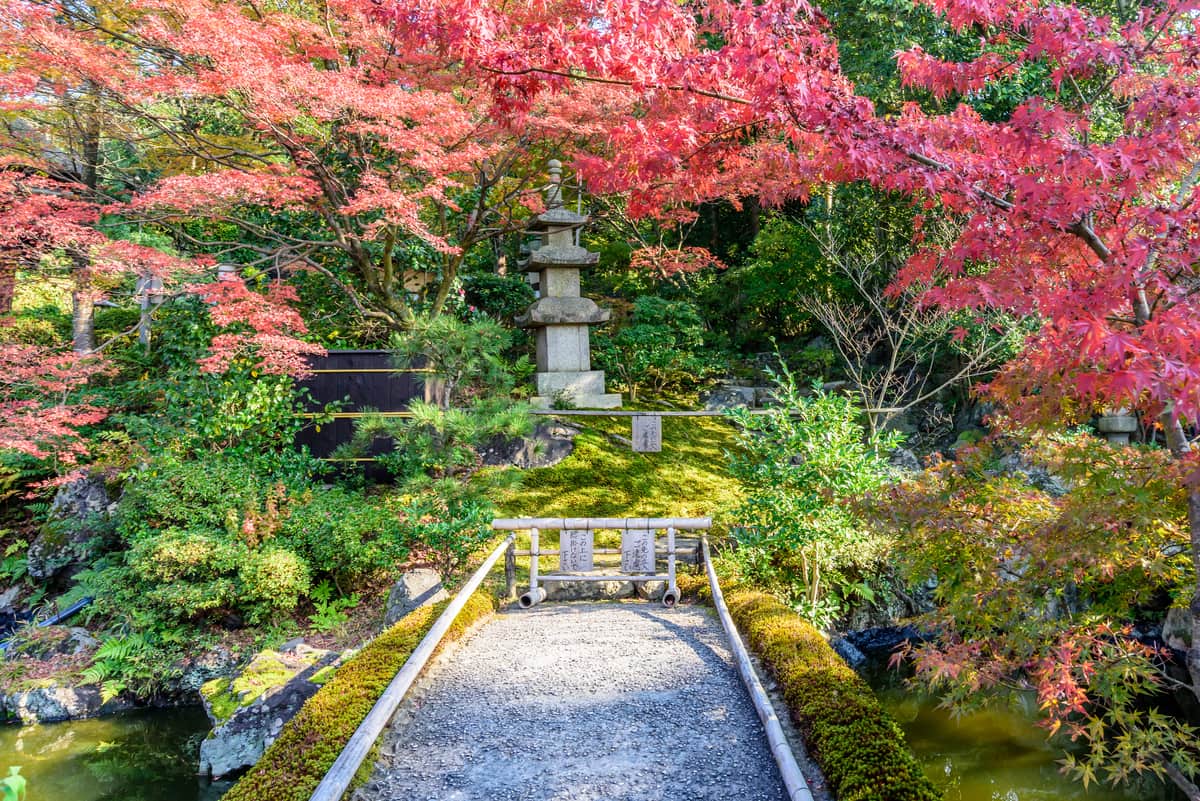 Fall Foliage in Kyoto Our Guide to Autumn Leaves Context Travel Blog